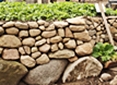 Nun wird die Steinmauer bepflanzt